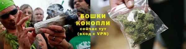 кокс Нягань