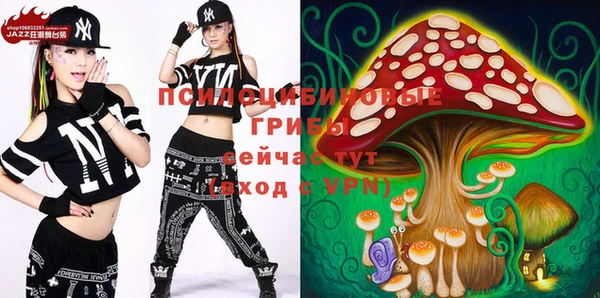 кокс Нягань