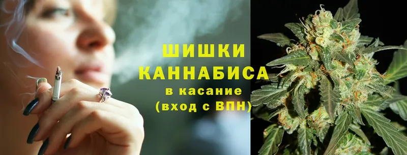 Конопля SATIVA & INDICA  Сосновка 